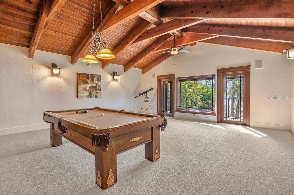 10577 DOWN LAKEVIEW CIR, WINDERMERE, FL, 34786