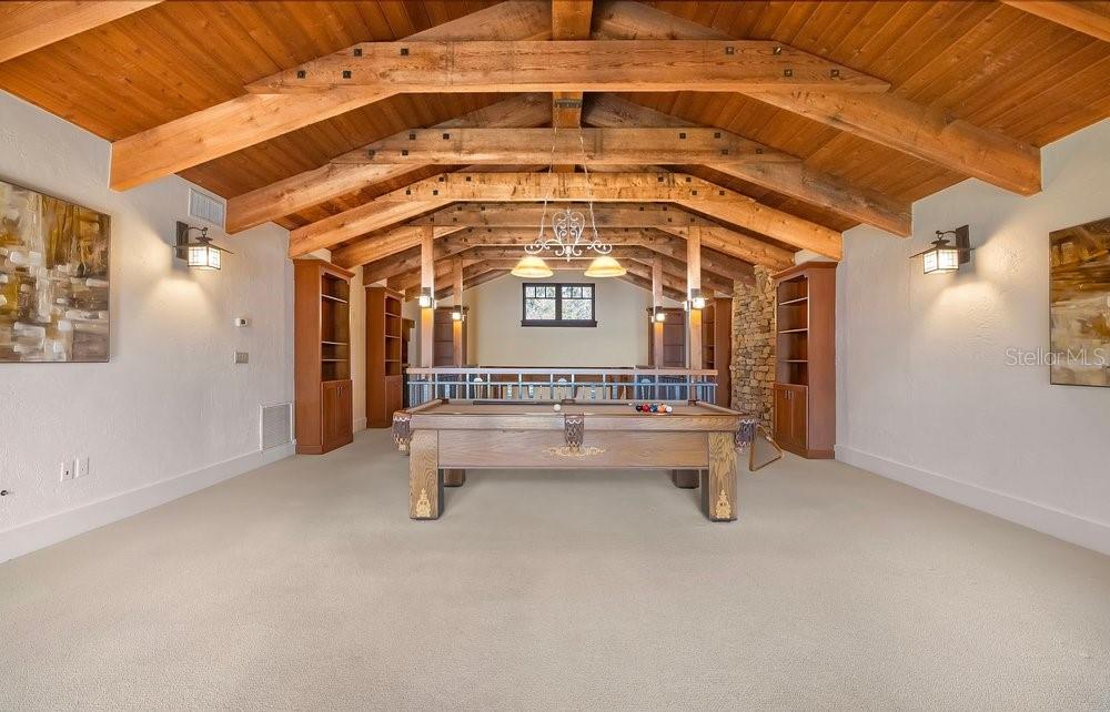 10577 DOWN LAKEVIEW CIR, WINDERMERE, FL, 34786