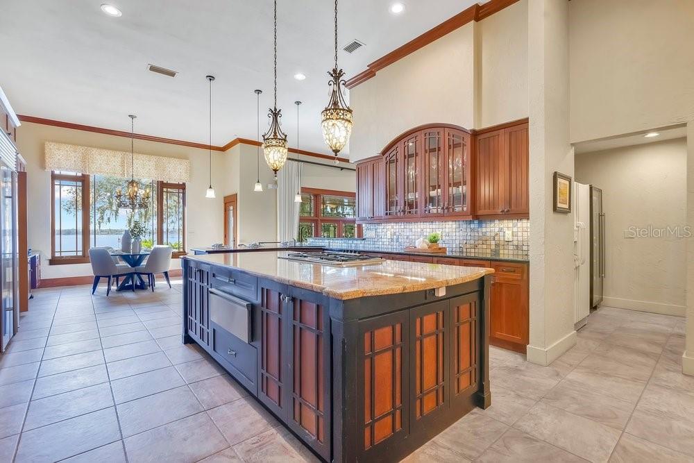 10577 DOWN LAKEVIEW CIR, WINDERMERE, FL, 34786