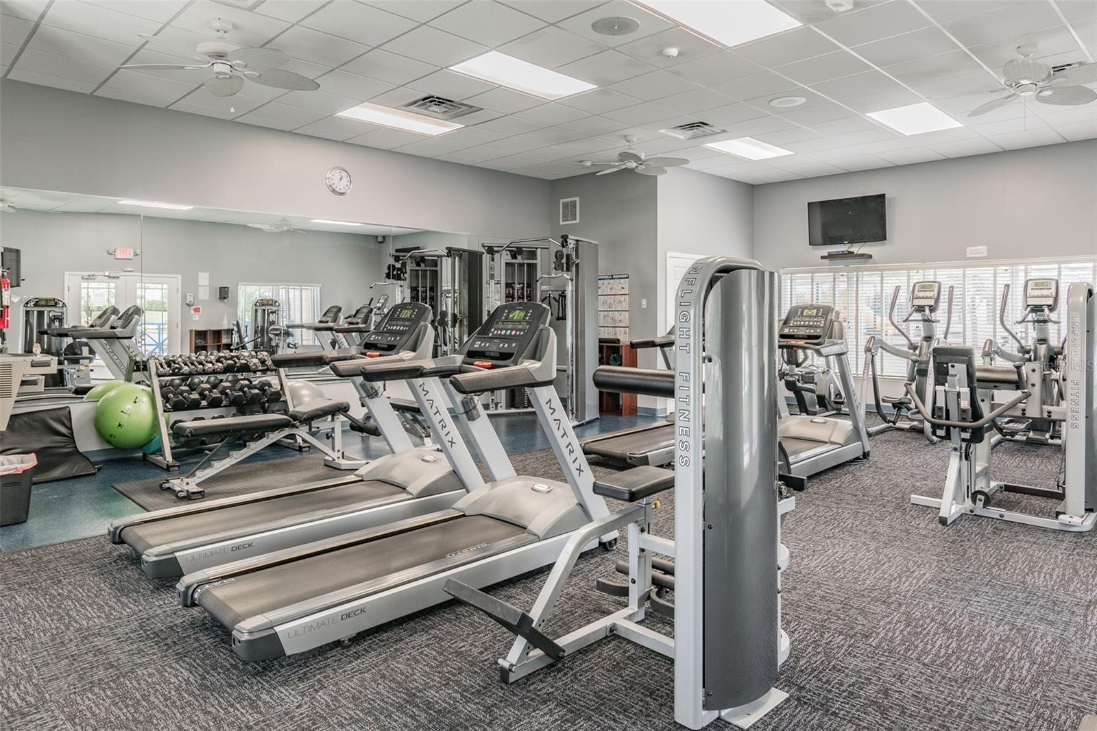 5405 HAMMOCK VIEW LN, APOLLO BEACH, FL, 33572