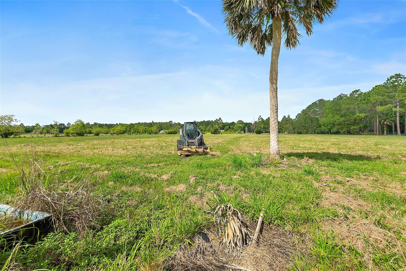 235 QUARTER HORSE LN, BUNNELL, FL, 32110