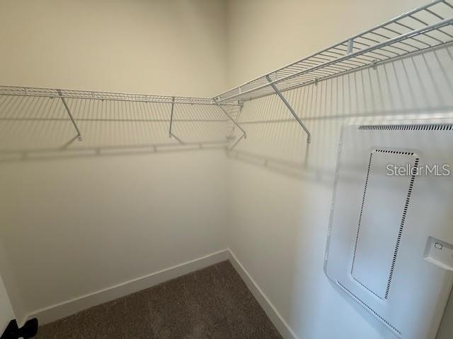 15220 GROVESIDE RD, WINTER GARDEN, FL, 34787