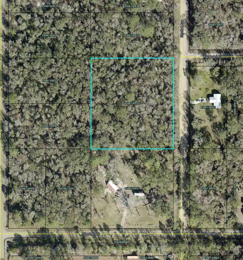 10155 STYCKET AVE, HASTINGS, FL, 32145