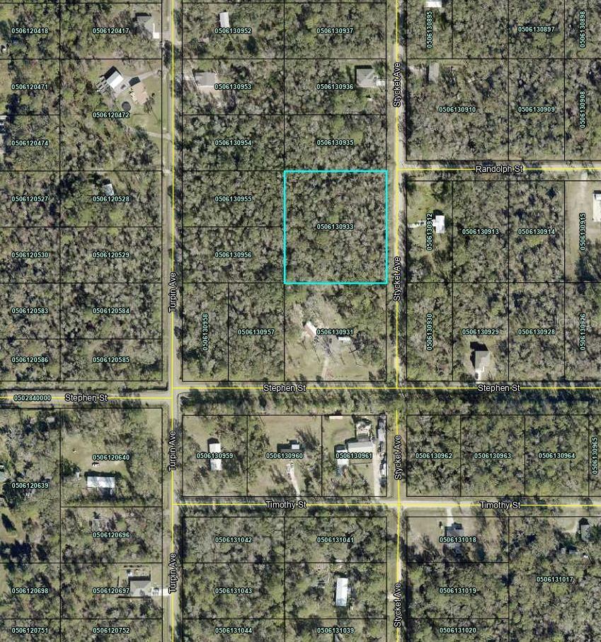 10155 STYCKET AVE, HASTINGS, FL, 32145