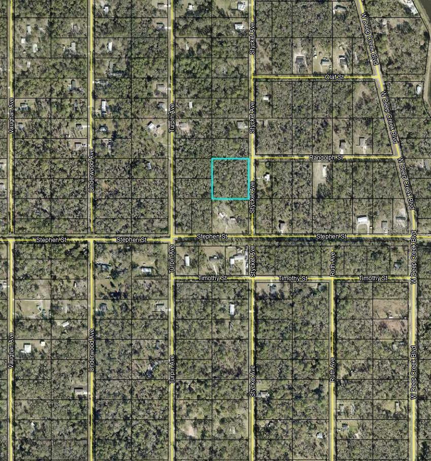 10155 STYCKET AVE, HASTINGS, FL, 32145