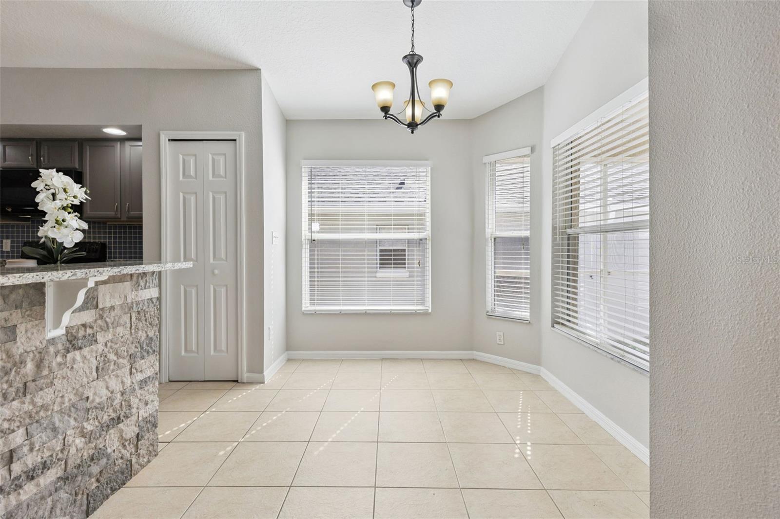539 KNIGHTSBRIDGE CIR, DAVENPORT, FL, 33896