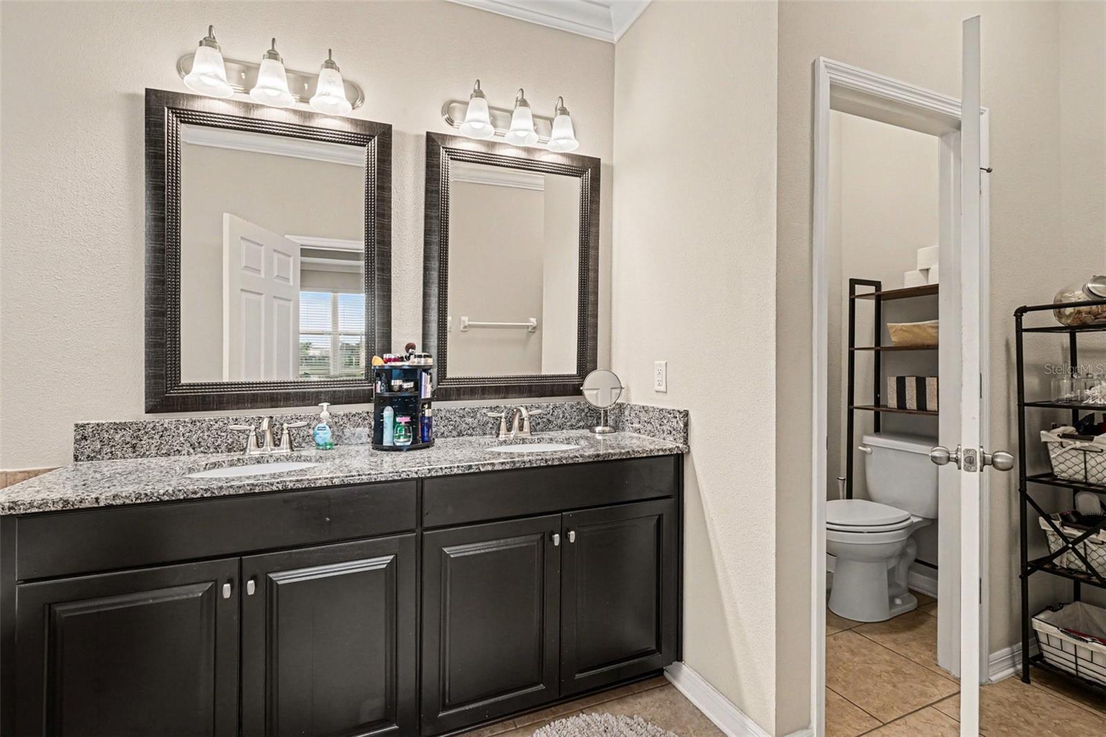 11428 CARLTON FIELDS DR, RIVERVIEW, FL, 33579