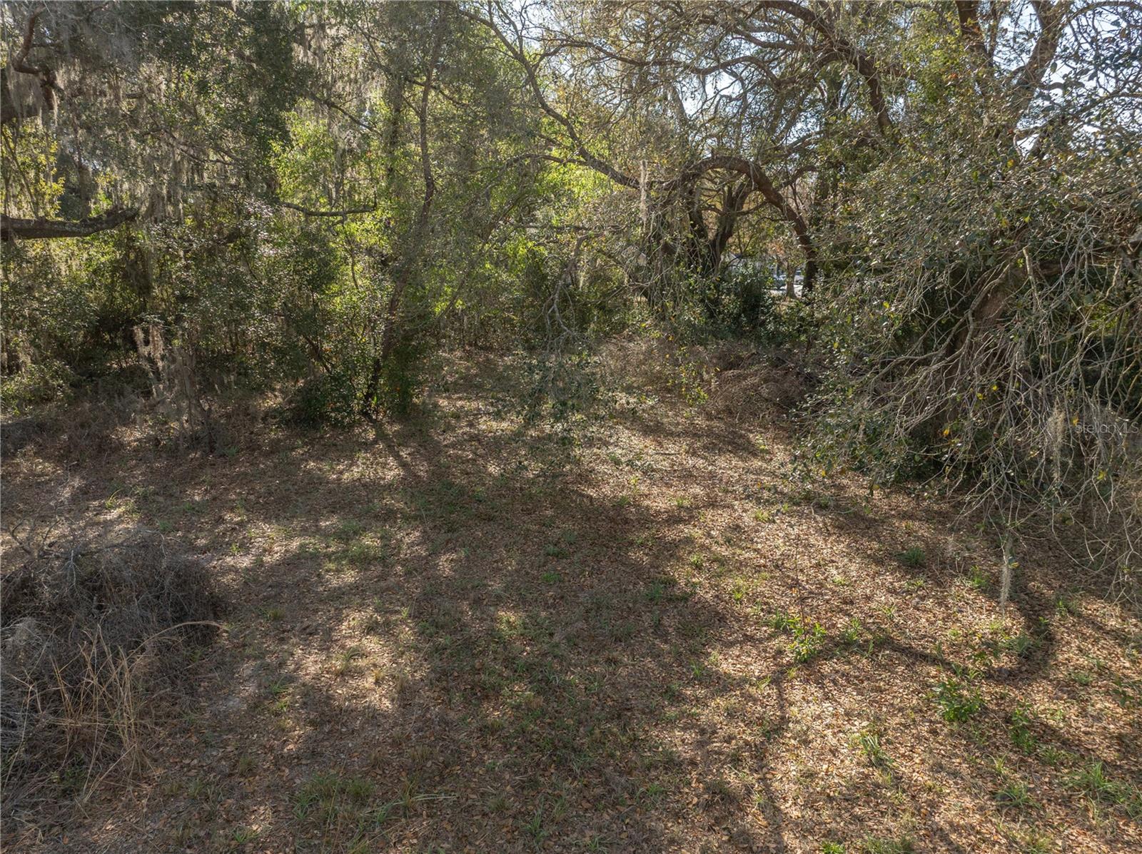 100 S OLD WIRE RD, WILDWOOD, FL, 34785