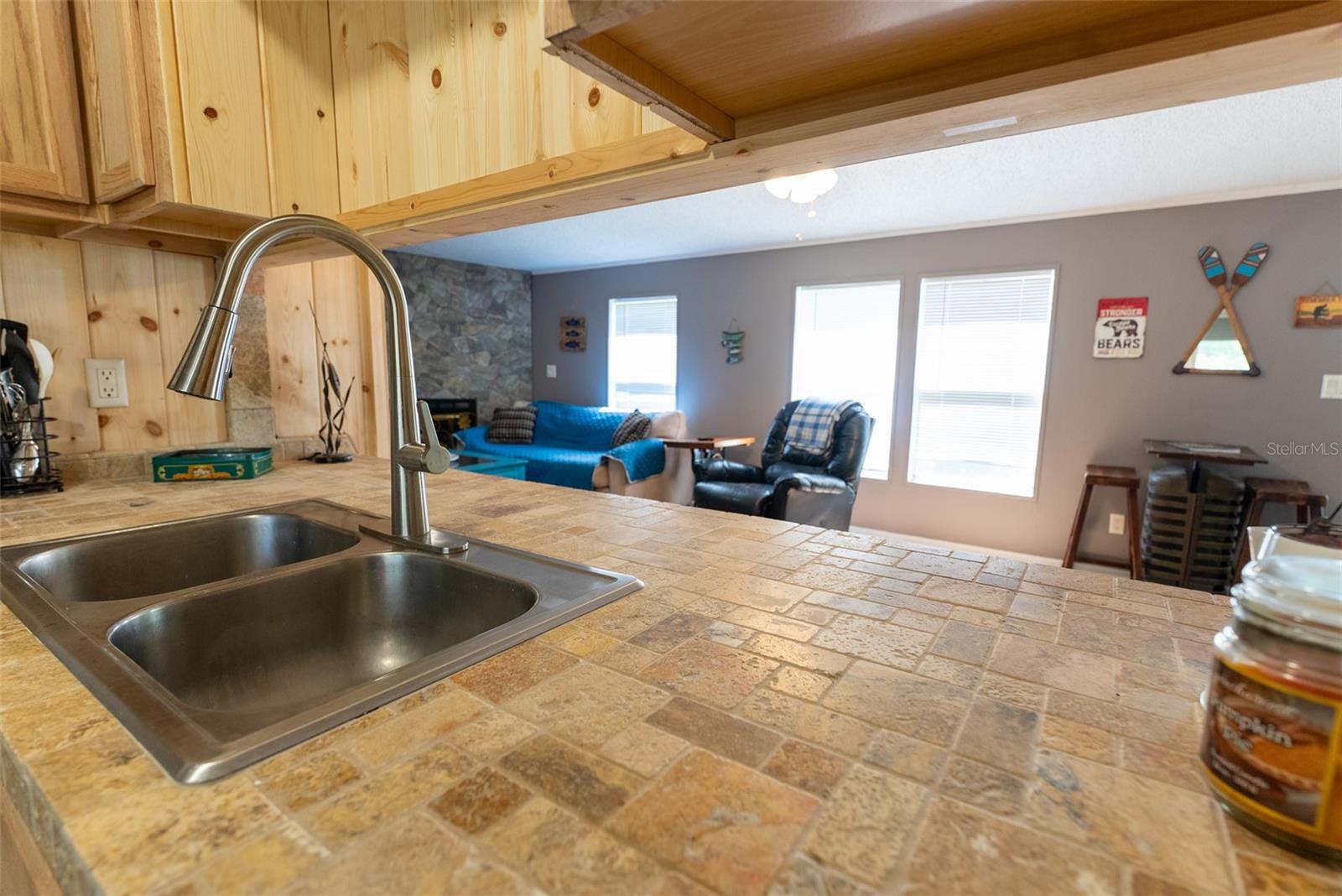 24525 NE 189TH ST, FORT MC COY, FL, 32134