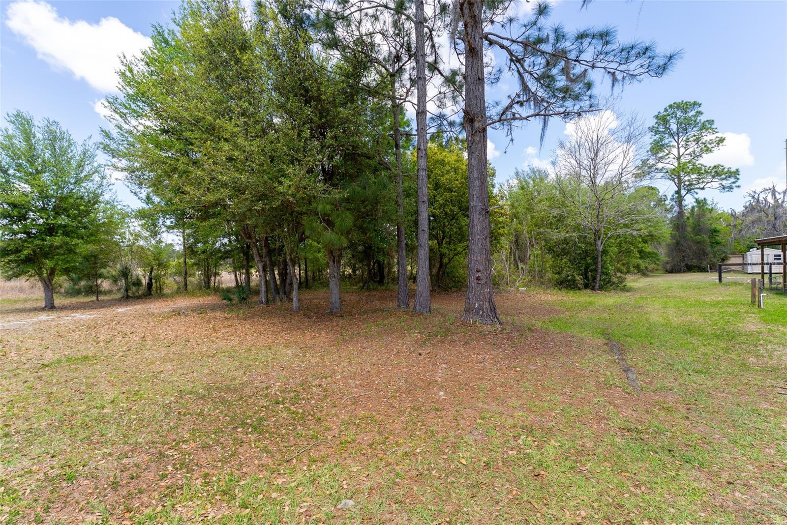 24525 NE 189TH ST, FORT MC COY, FL, 32134