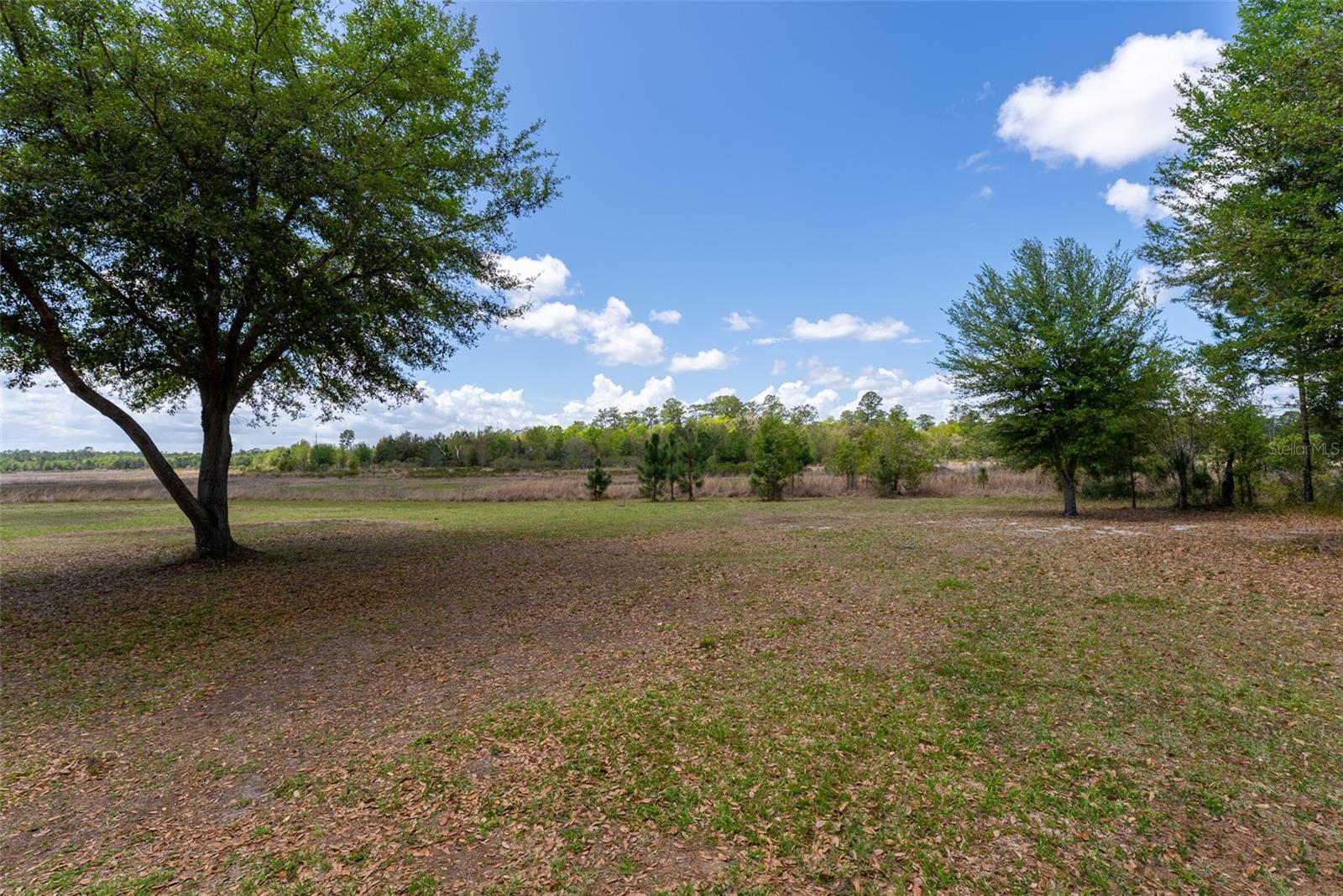 24525 NE 189TH ST, FORT MC COY, FL, 32134