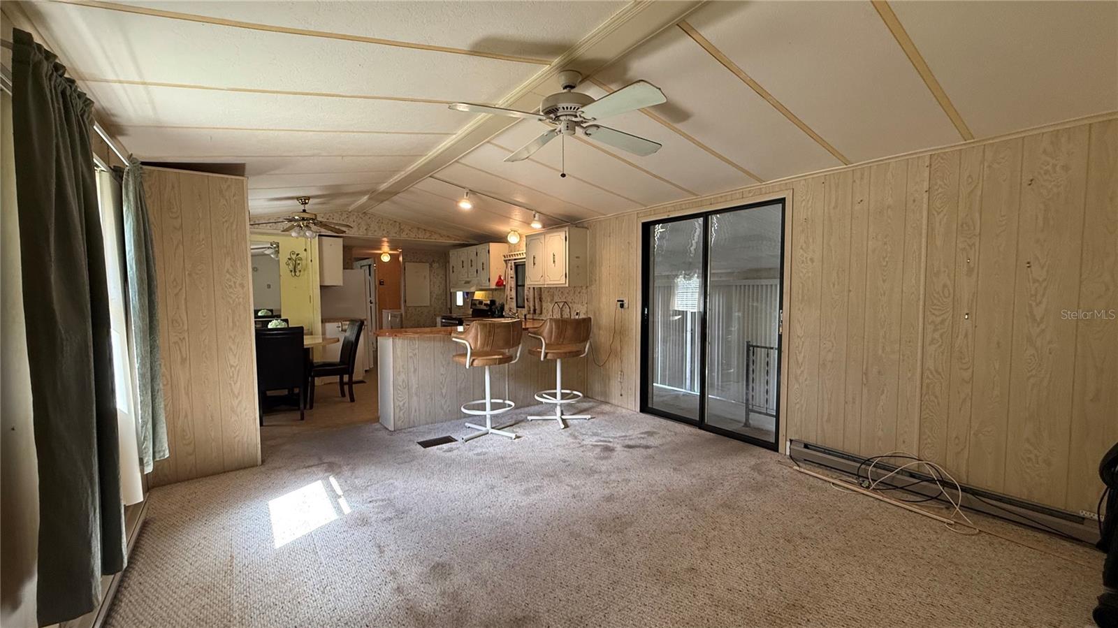 28520 HOLLY AVE, PAISLEY, FL, 32767