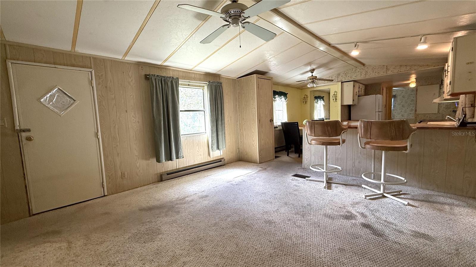 28520 HOLLY AVE, PAISLEY, FL, 32767