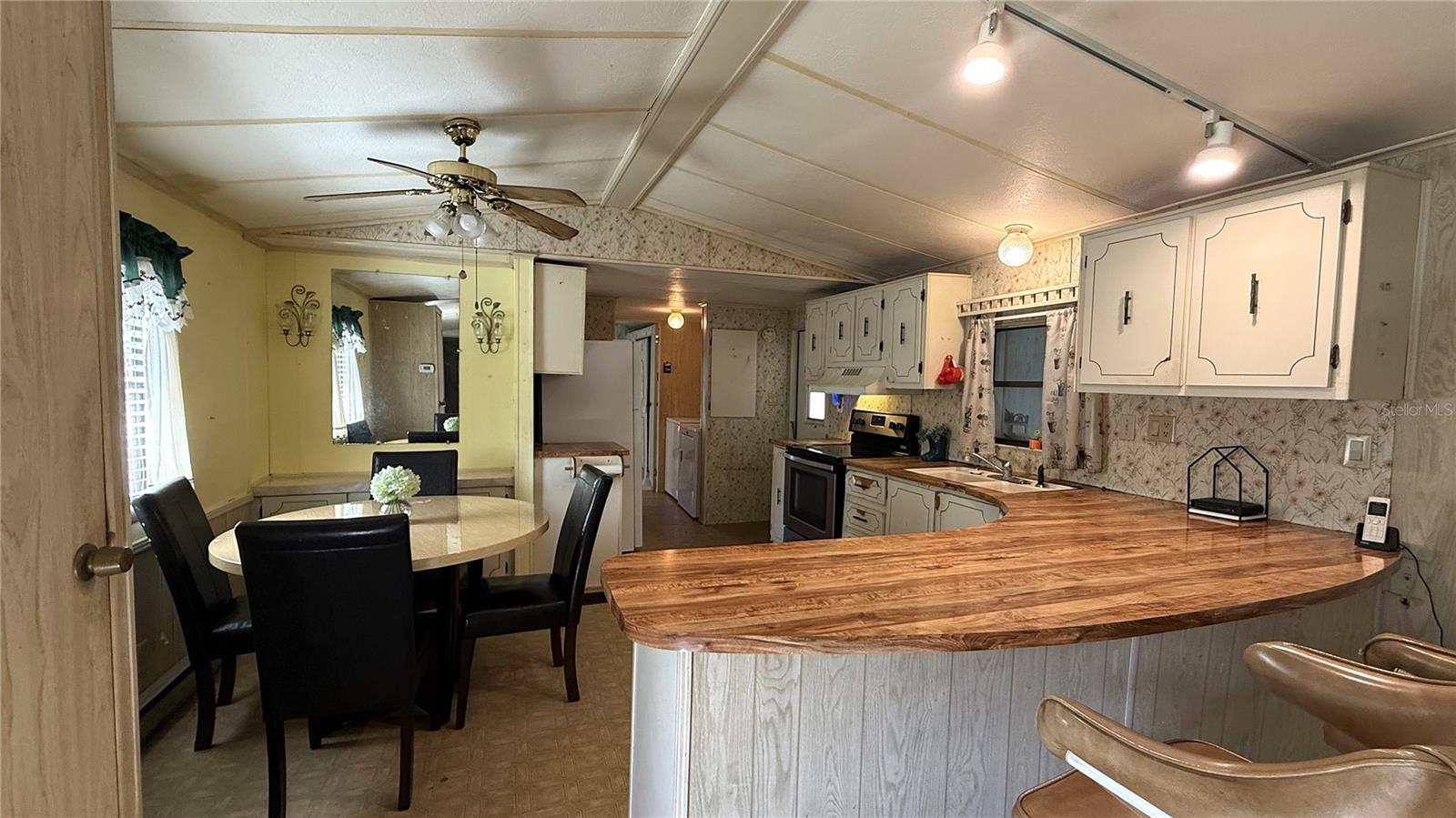 28520 HOLLY AVE, PAISLEY, FL, 32767