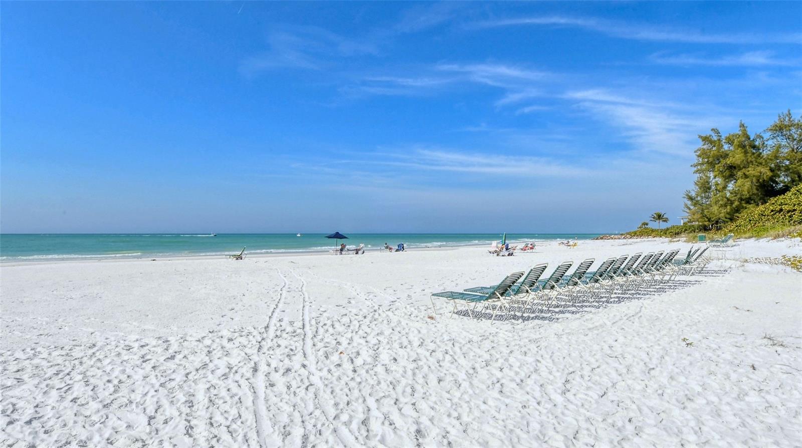 101 WHISPERING SANDS DR #301, SARASOTA, FL, 34242
