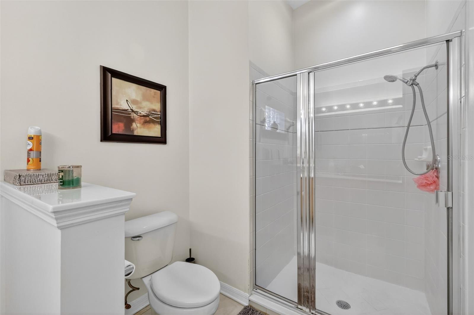 3022 ANDOVER CT, MOUNT DORA, FL, 32757