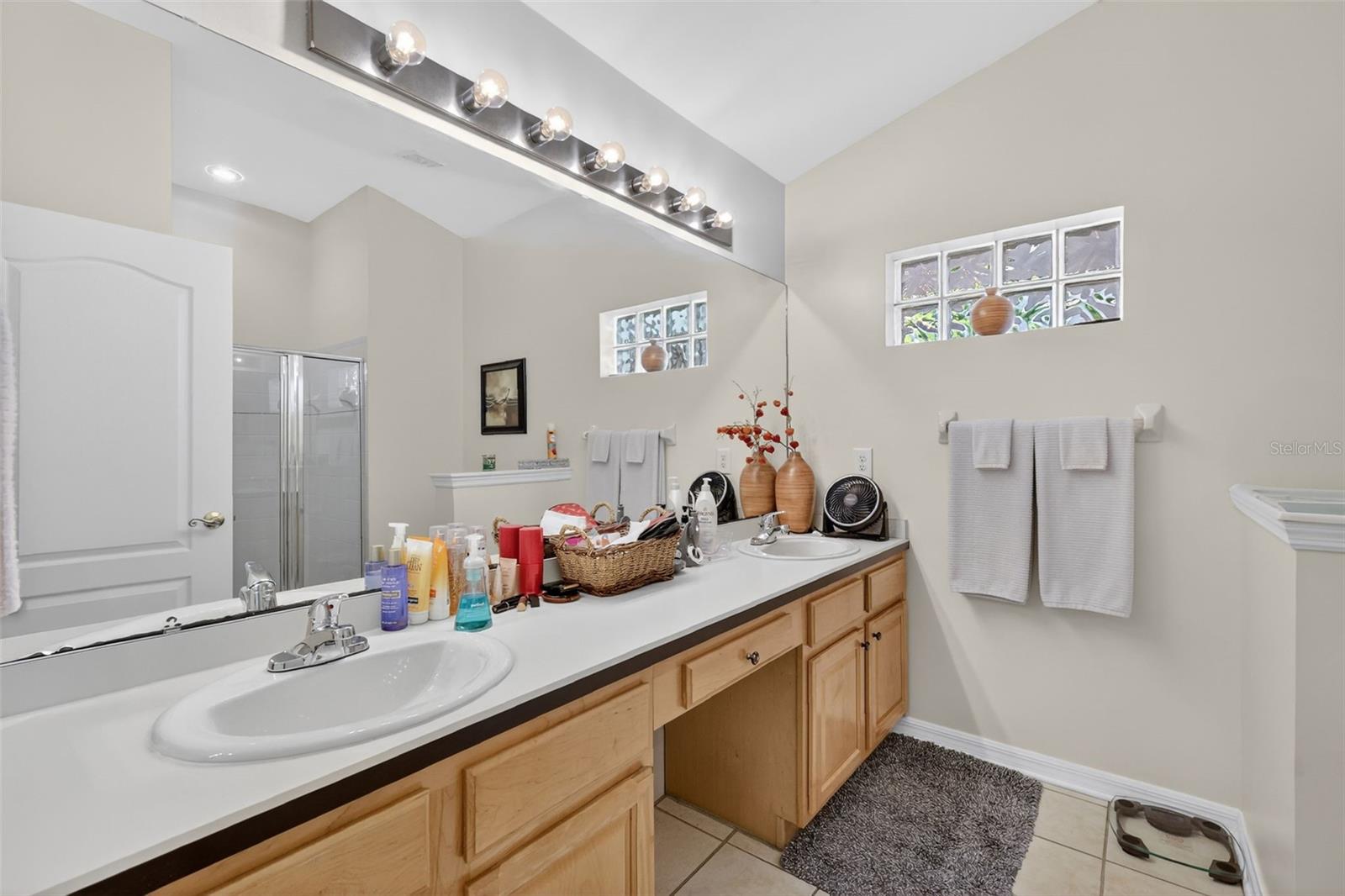 3022 ANDOVER CT, MOUNT DORA, FL, 32757