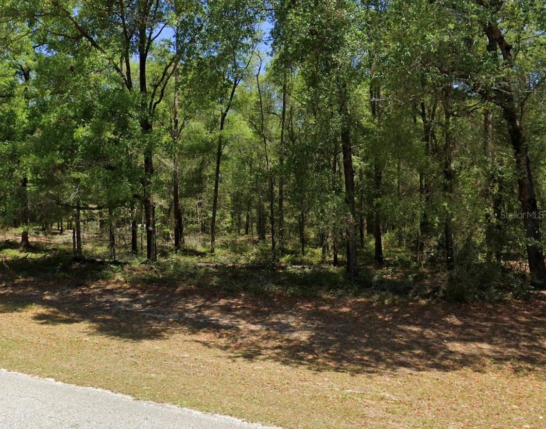 00 SW 102ND STREET ROAD, DUNNELLON, FL, 34432