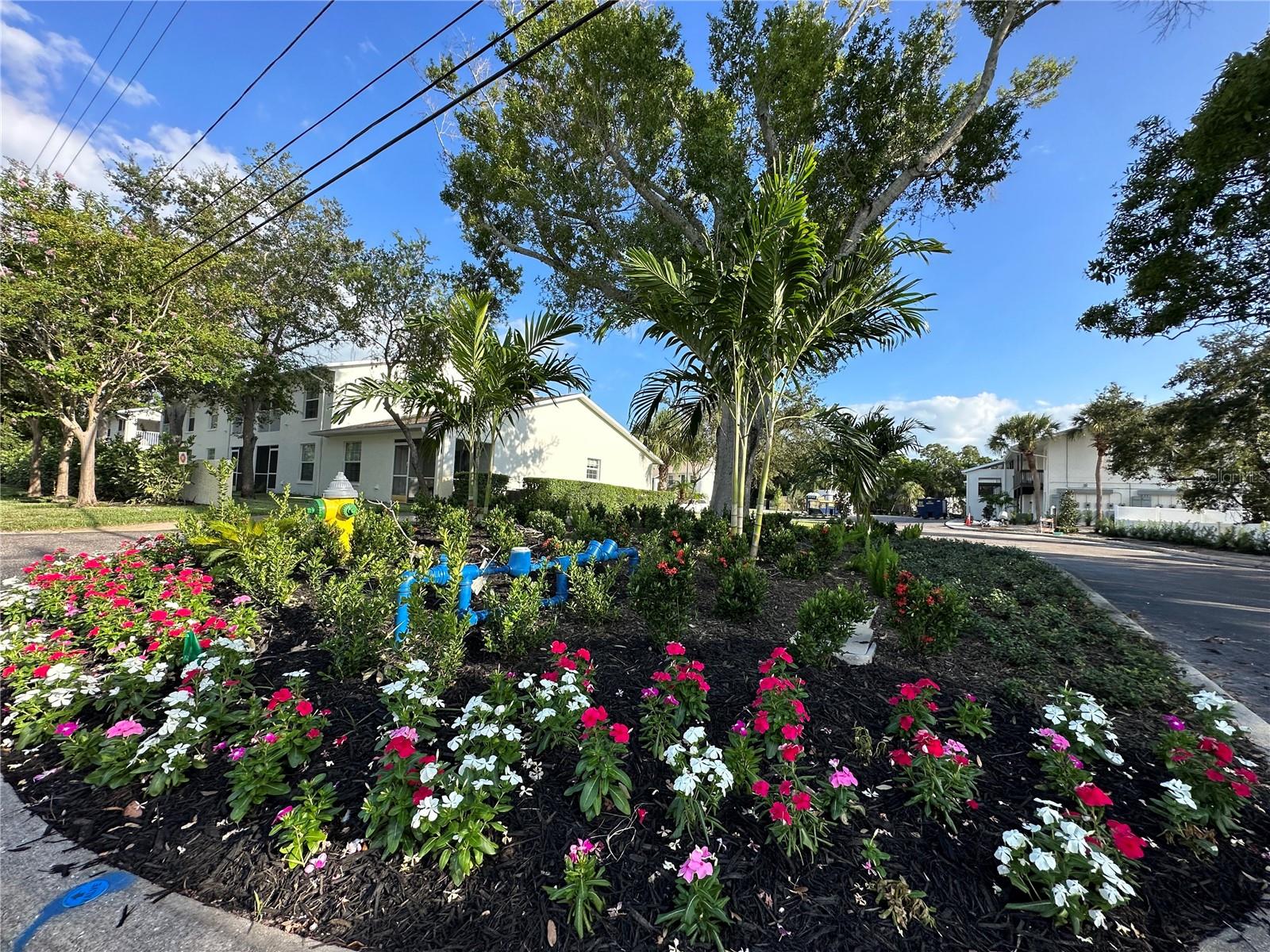 3840 34TH AVE S #102, ST PETERSBURG, FL, 33711