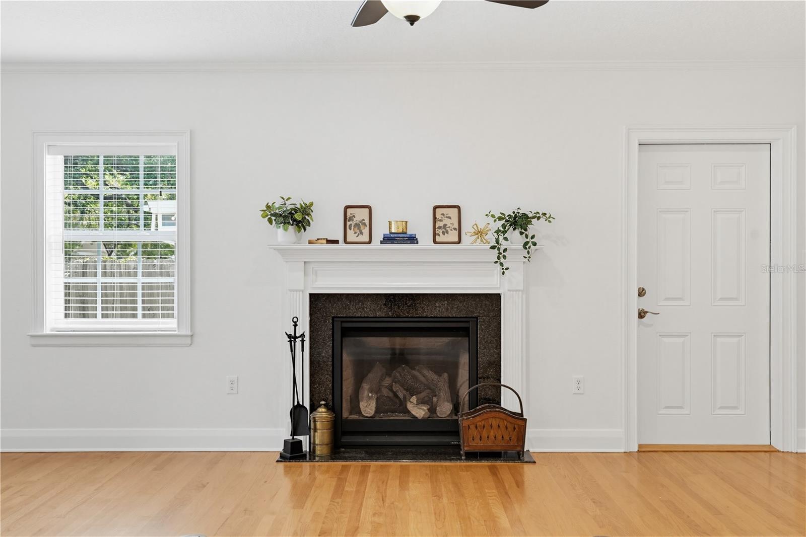 Fireplace in Family Room