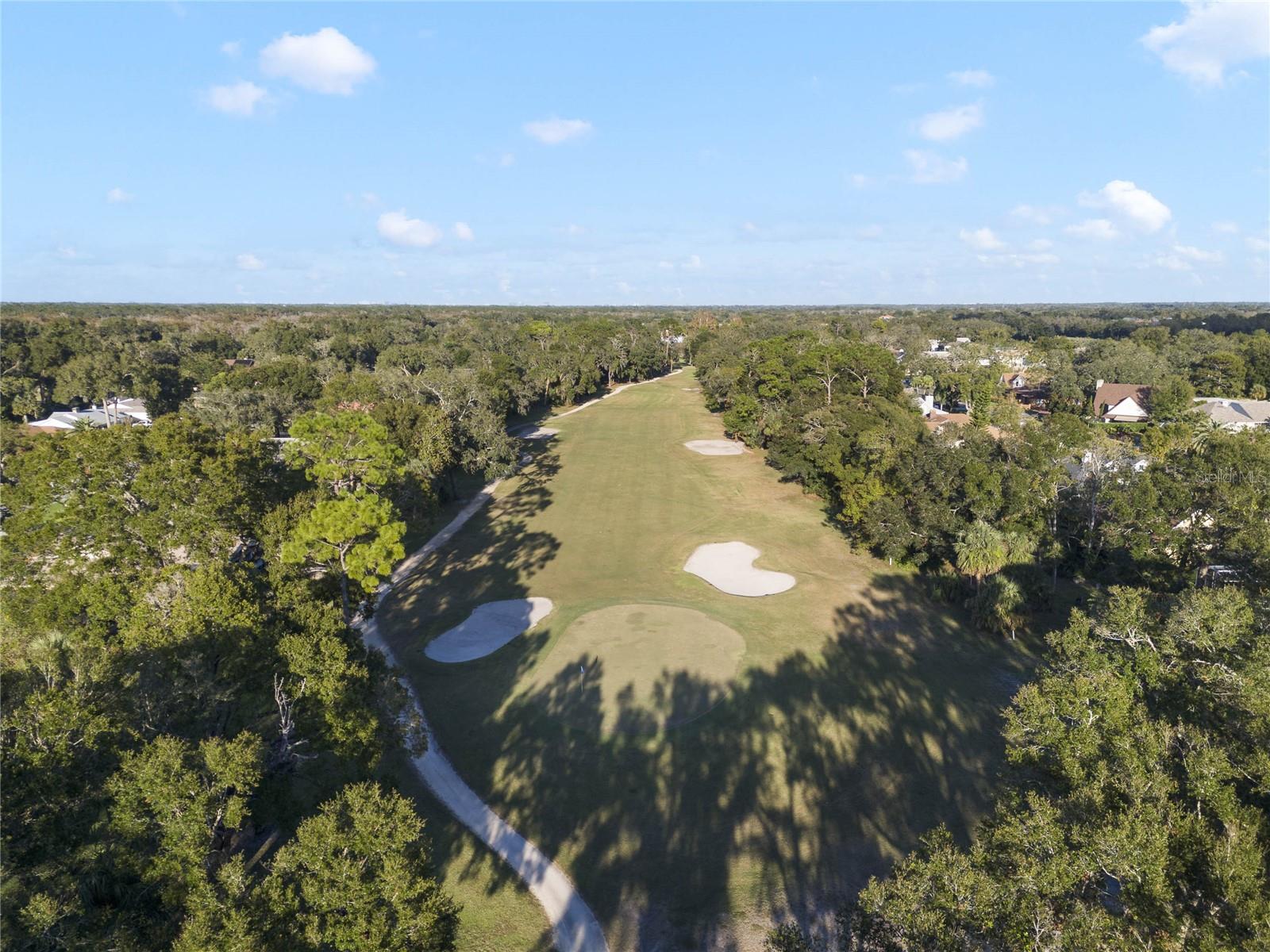 3184 ROYAL BIRKDALE WAY, PORT ORANGE, FL, 32128