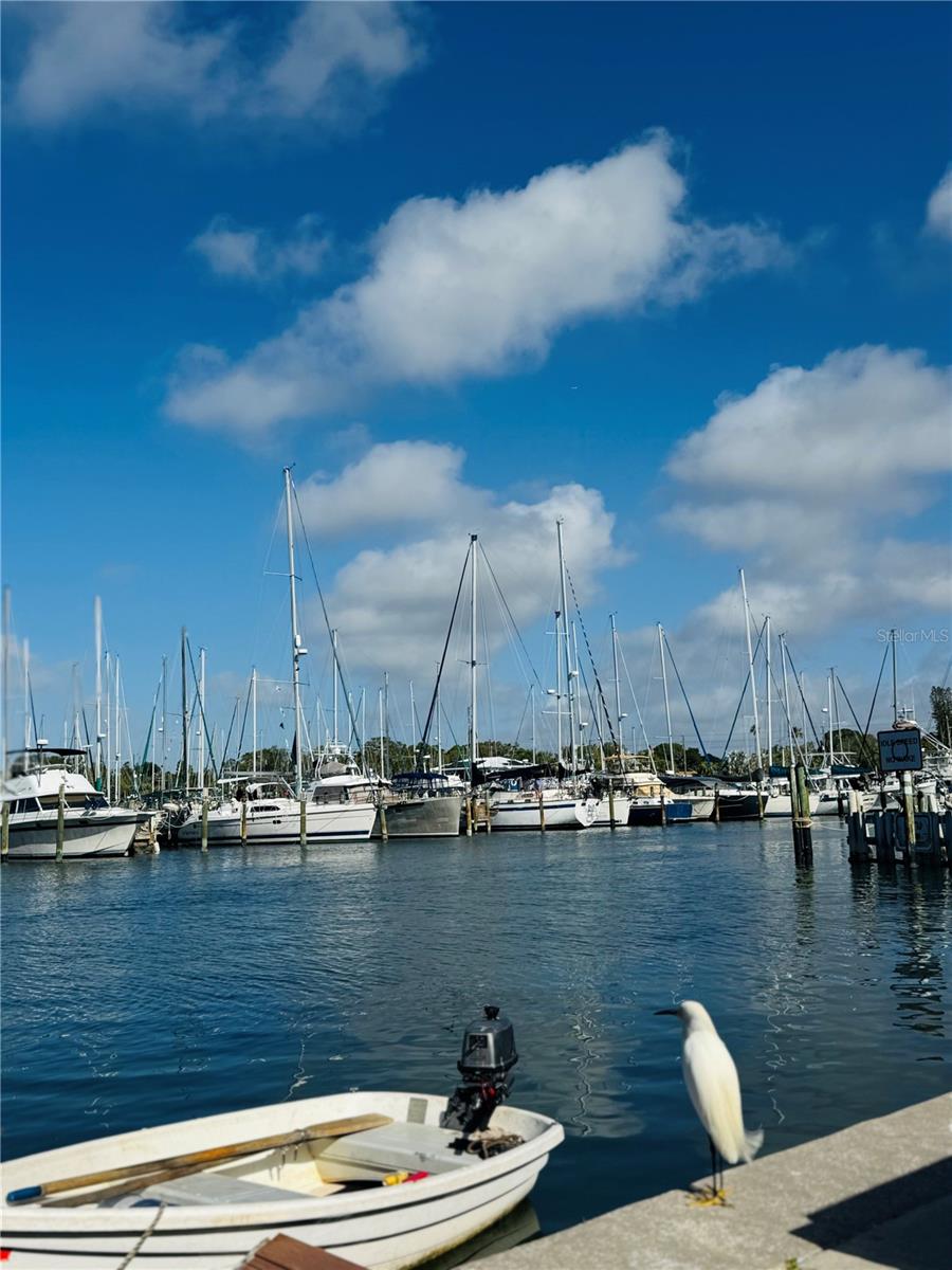 2812 MIRIAM ST S, GULFPORT, FL, 33711