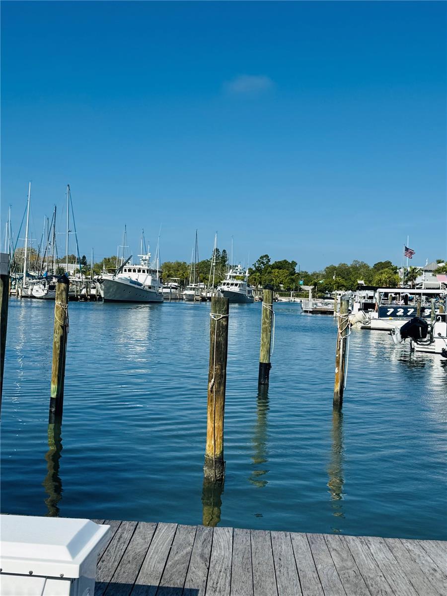 2812 MIRIAM ST S, GULFPORT, FL, 33711