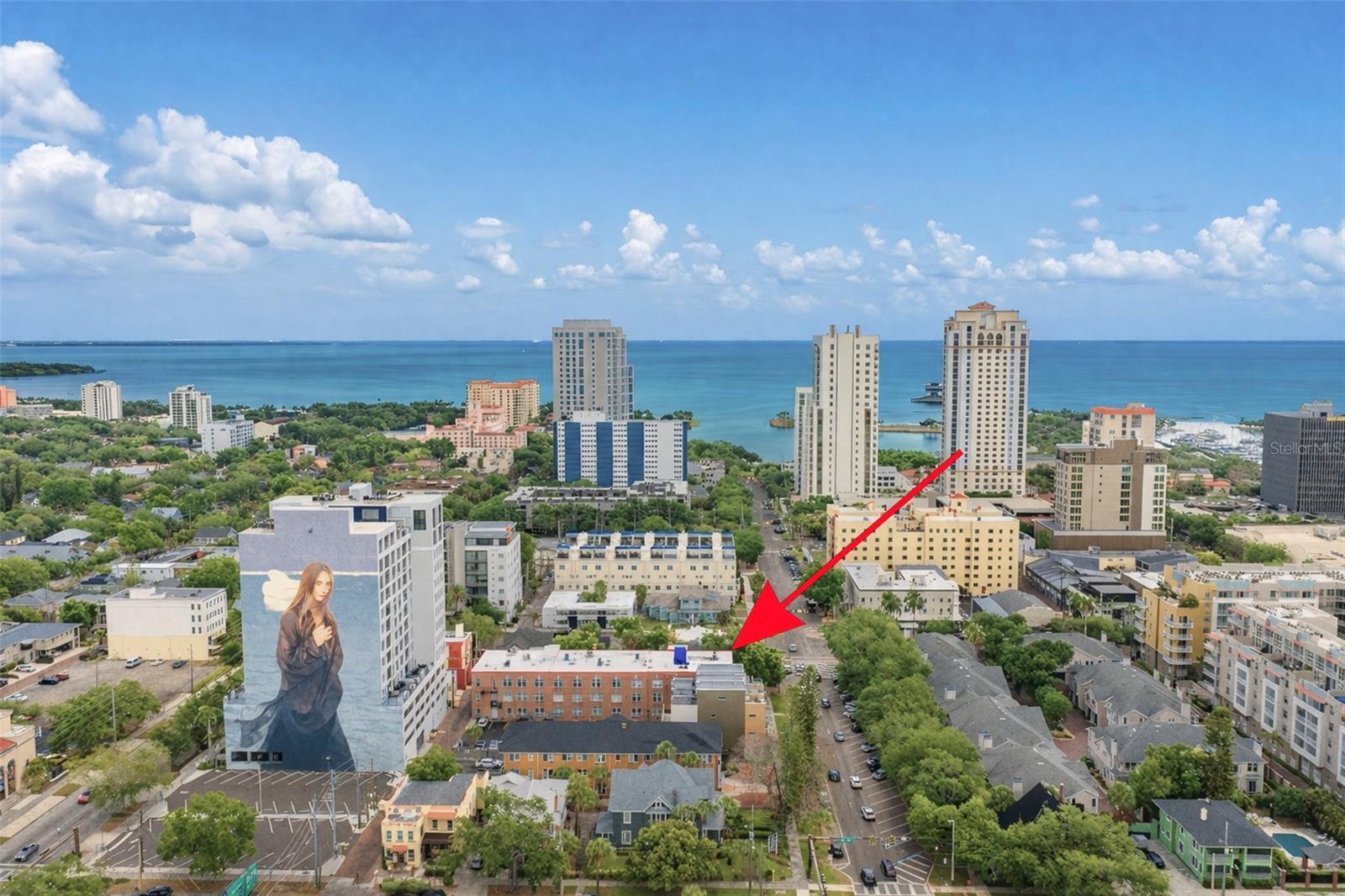 219 4TH AVE N #202, ST PETERSBURG, FL, 33701