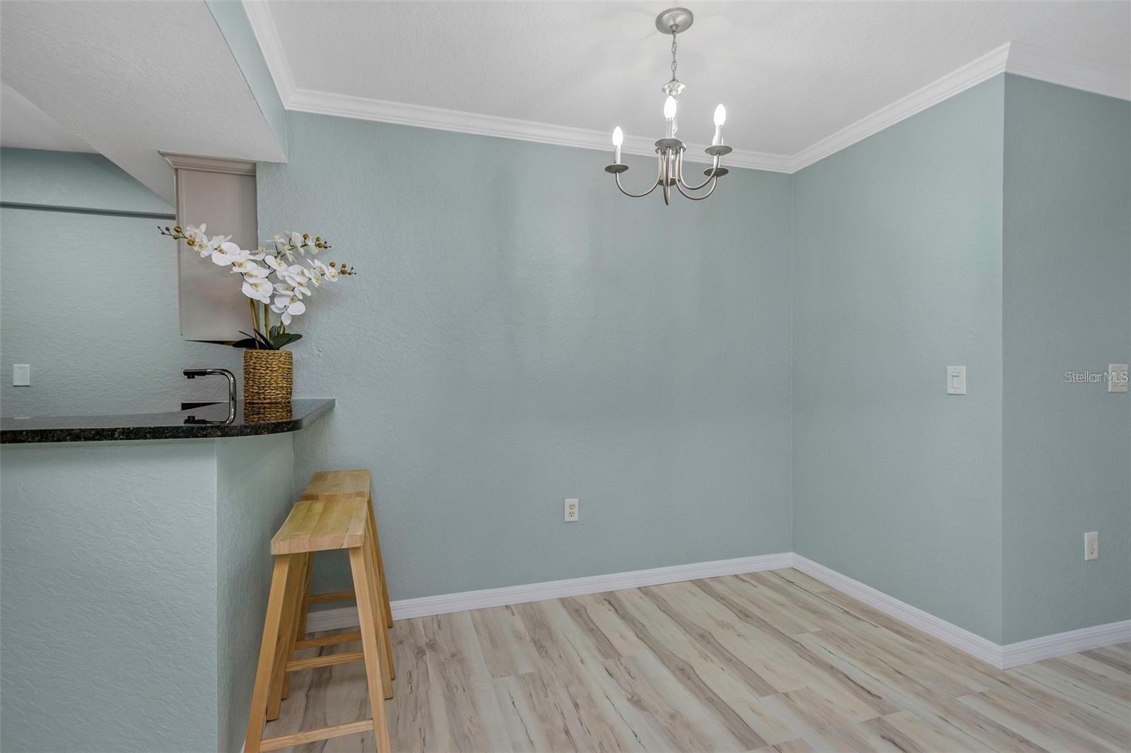718 LYNDHURST ST #904, DUNEDIN, FL, 34698