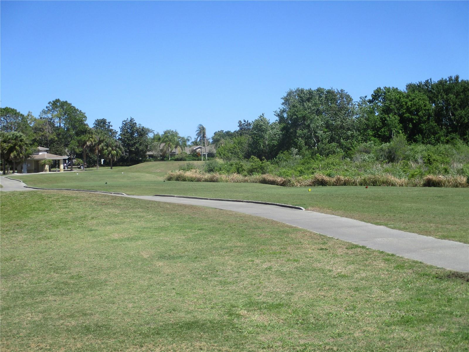 2211 OAKLEY GREEN DR, SUN CITY CENTER, FL, 33573