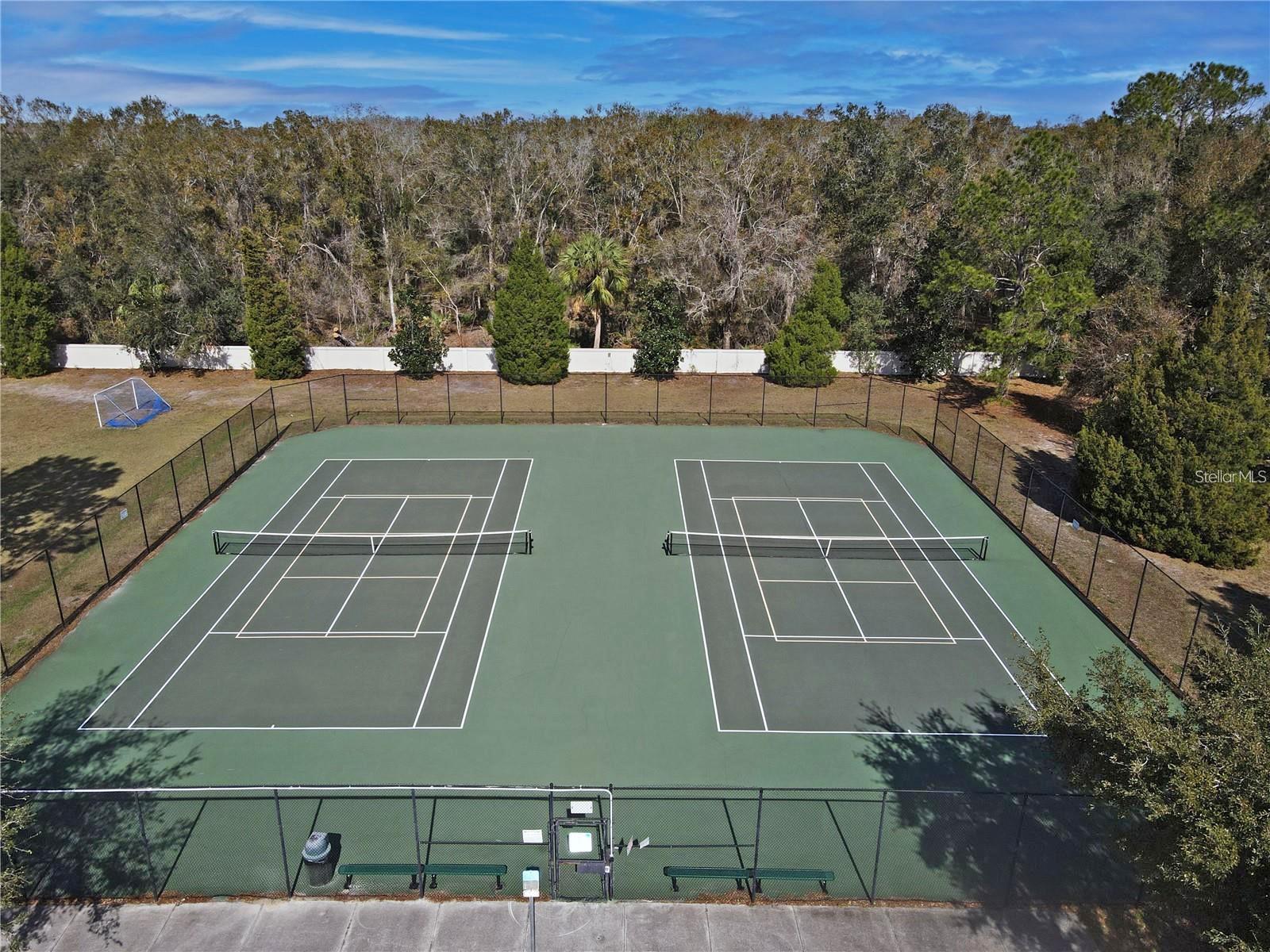 Tennis Court & Pickleball settings