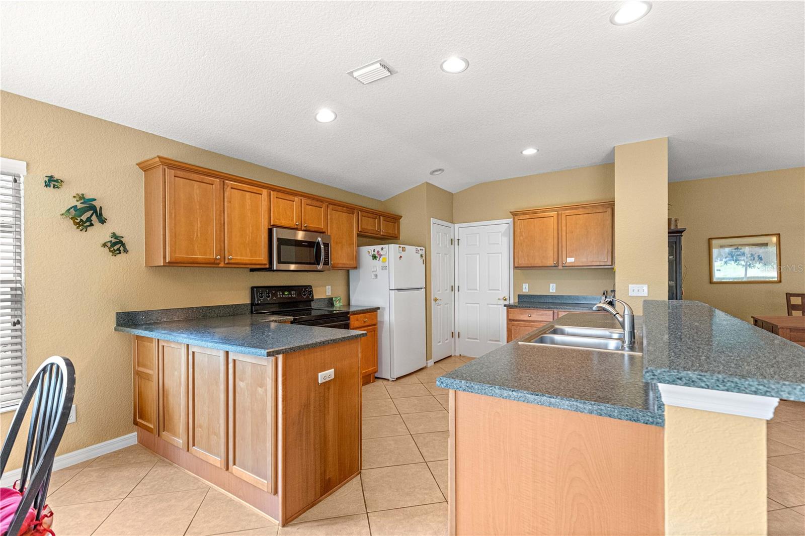 13131 SE 91ST COURT RD, SUMMERFIELD, FL, 34491