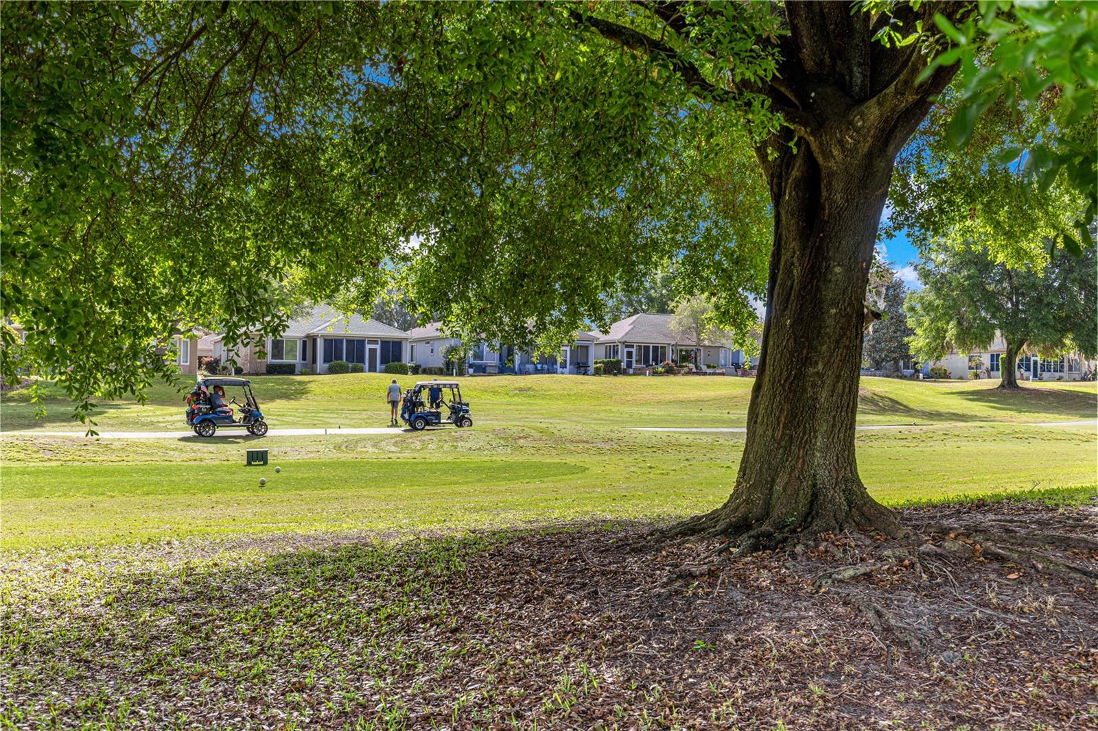 13131 SE 91ST COURT RD, SUMMERFIELD, FL, 34491