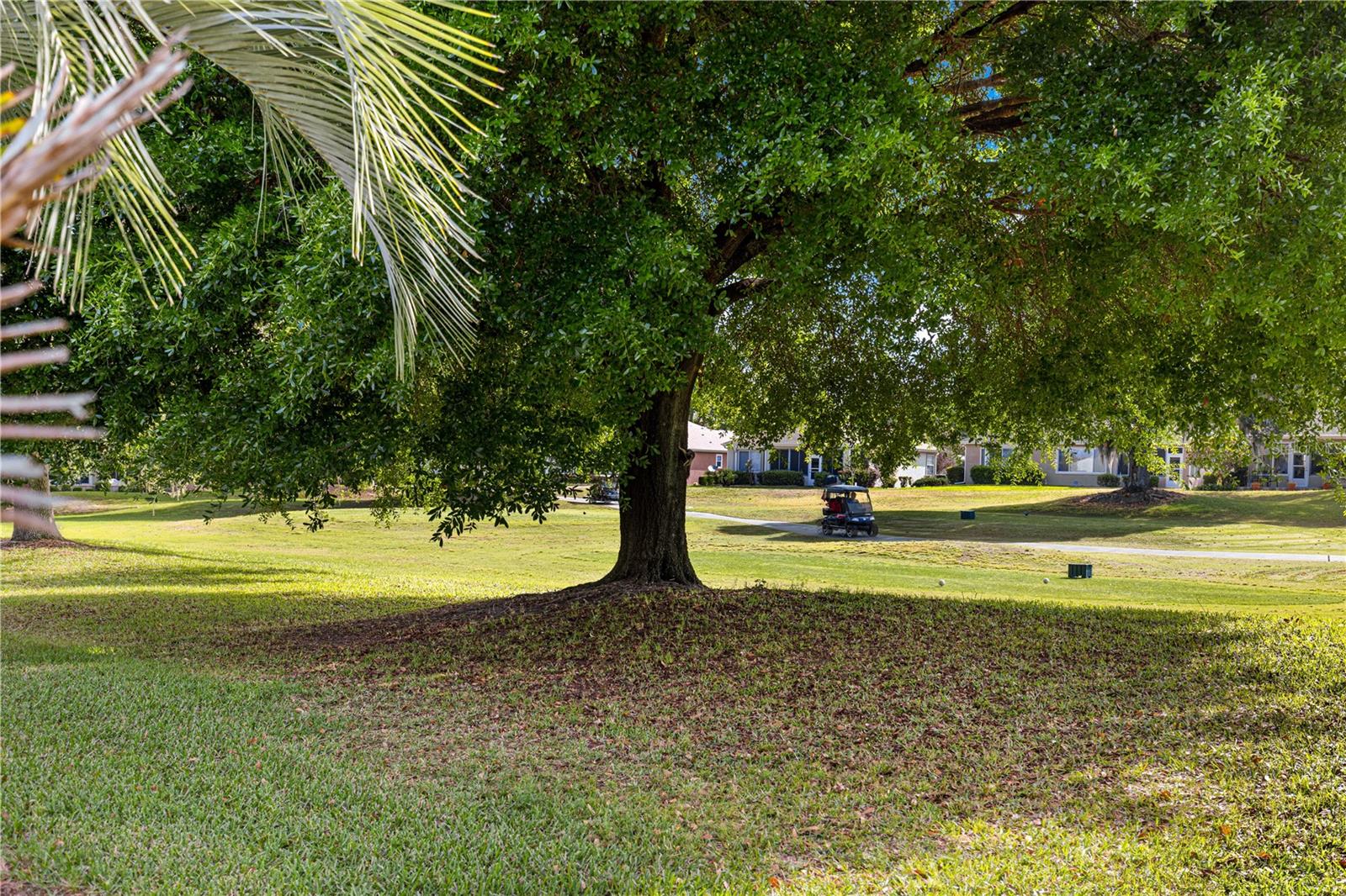 13131 SE 91ST COURT RD, SUMMERFIELD, FL, 34491