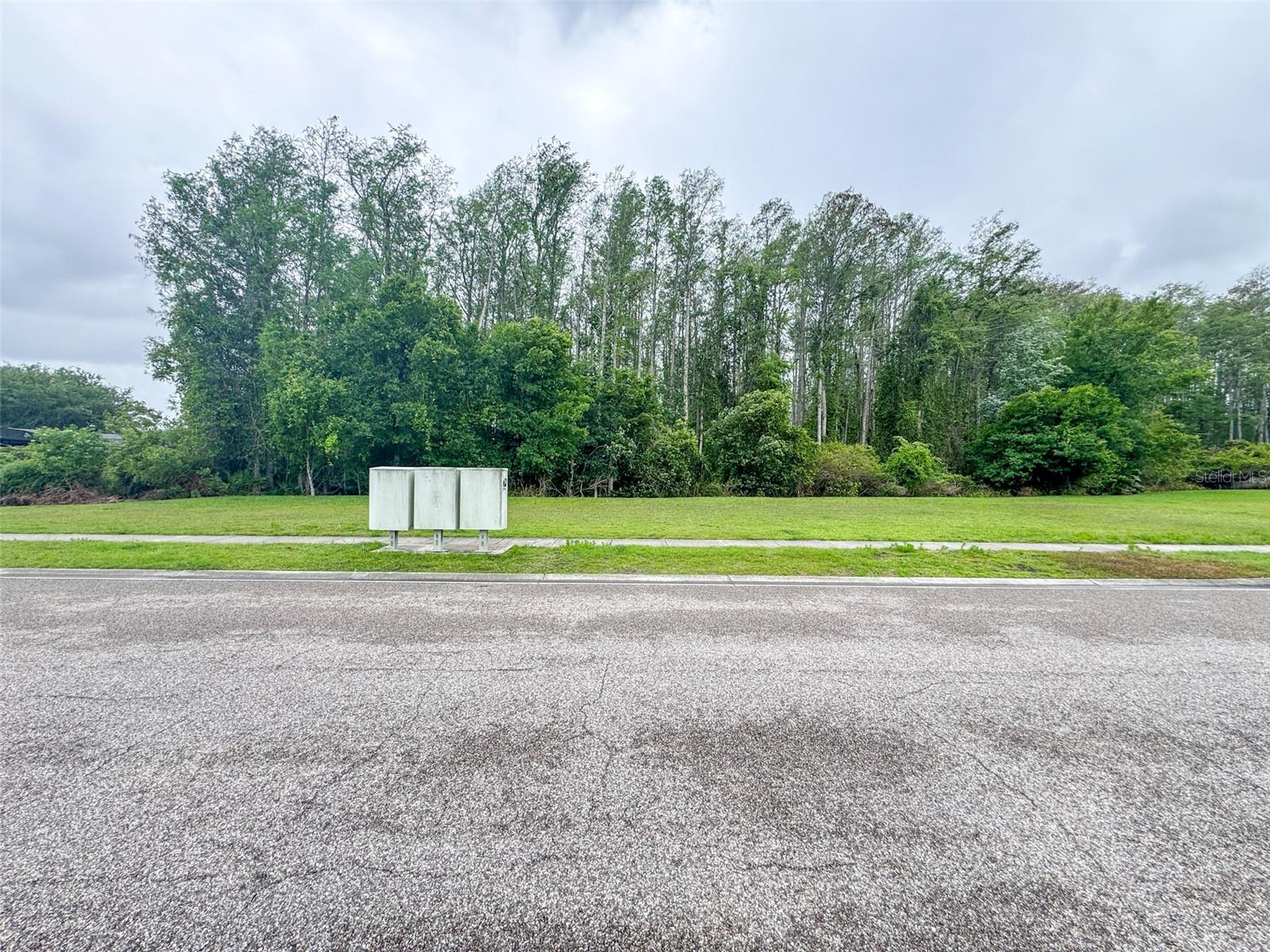 1207 ROYAL SAINT GEORGE DR, ORLANDO, FL, 32828