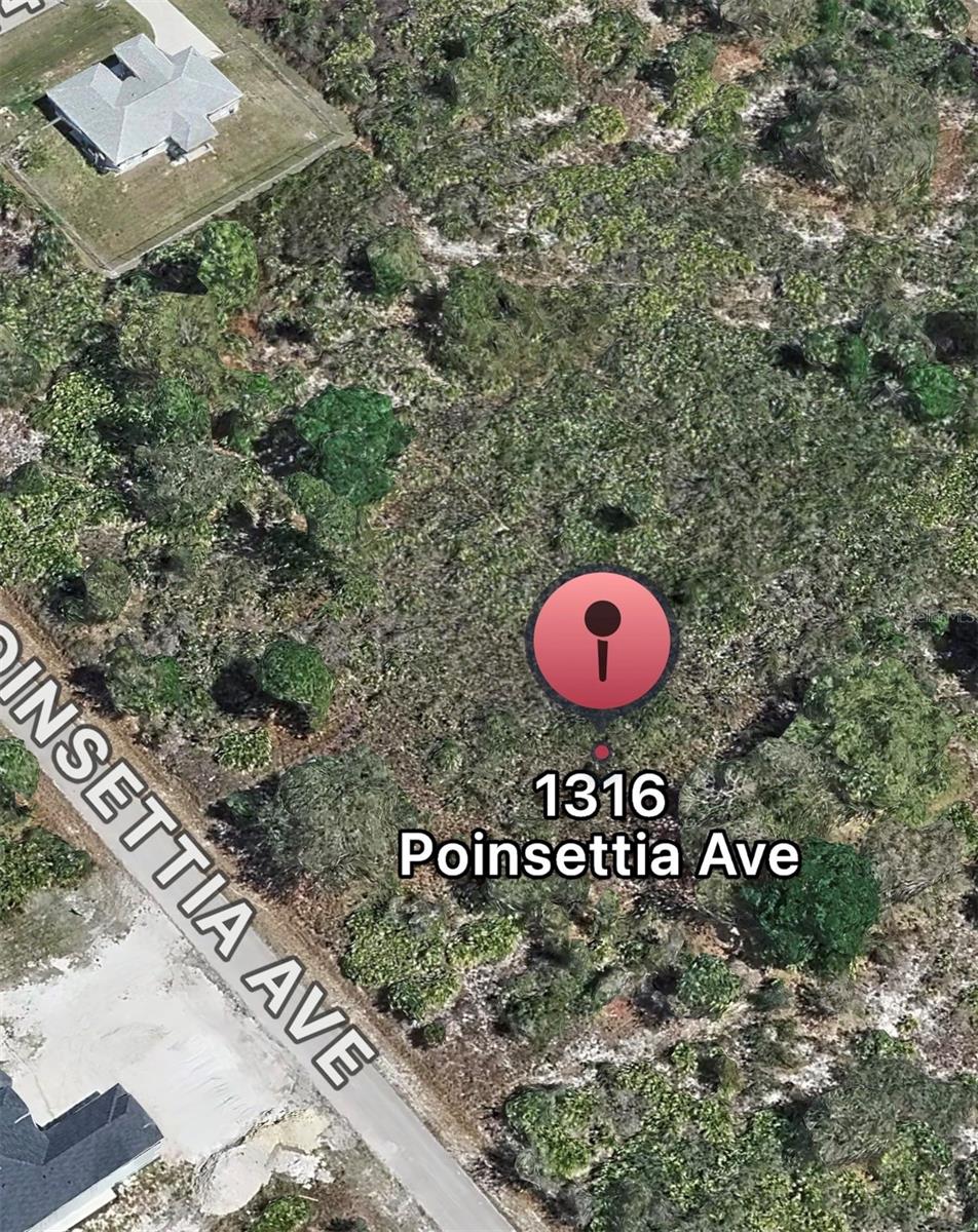1316 POINSETTIA AVE, LEHIGH ACRES, FL, 33972
