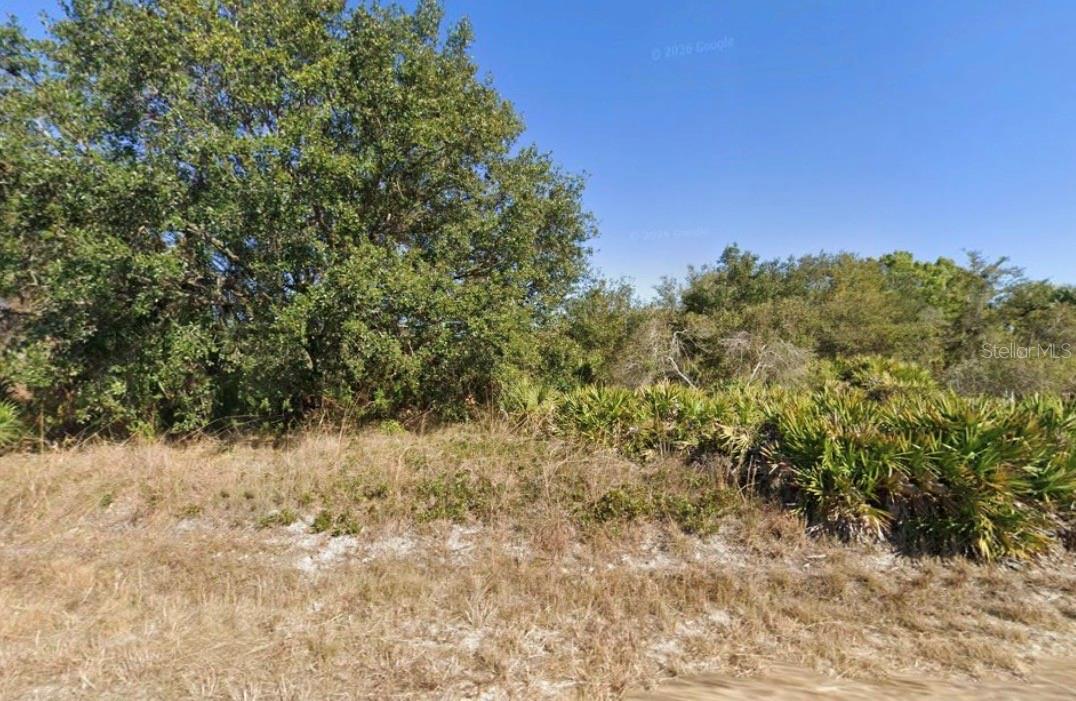 1316 POINSETTIA AVE, LEHIGH ACRES, FL, 33972