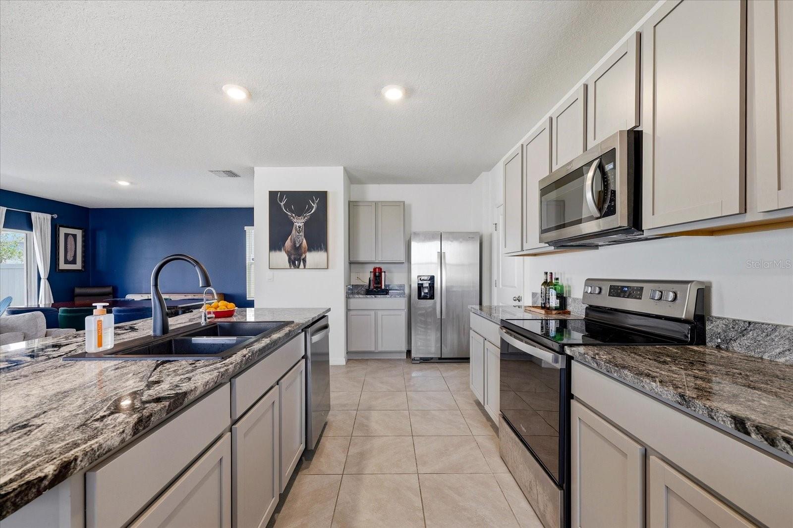 33479 ELM HILL BR, WESLEY CHAPEL, FL, 33545