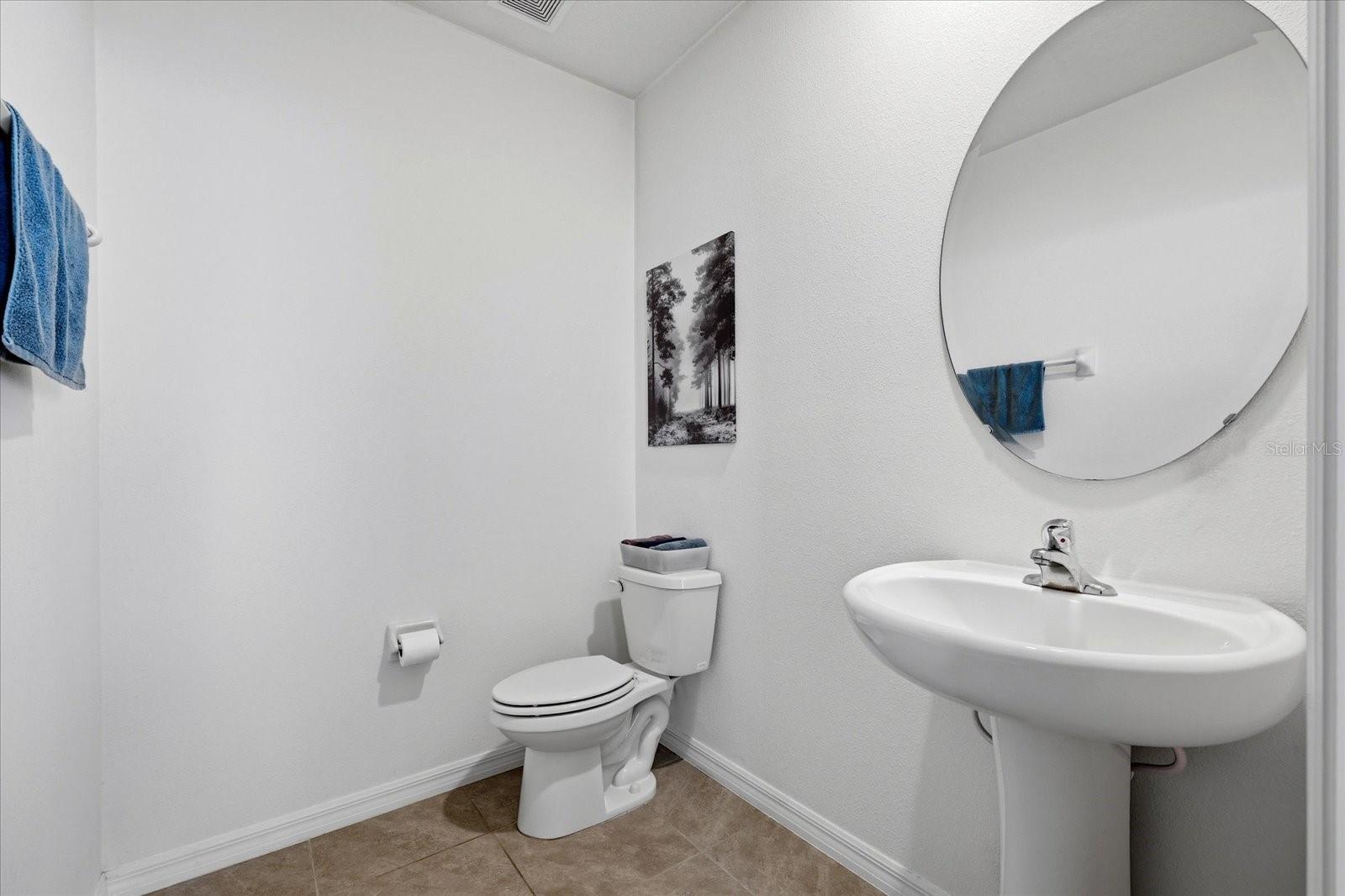 33479 ELM HILL BR, WESLEY CHAPEL, FL, 33545