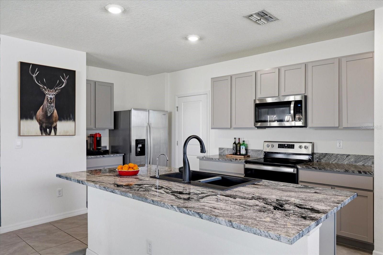 33479 ELM HILL BR, WESLEY CHAPEL, FL, 33545