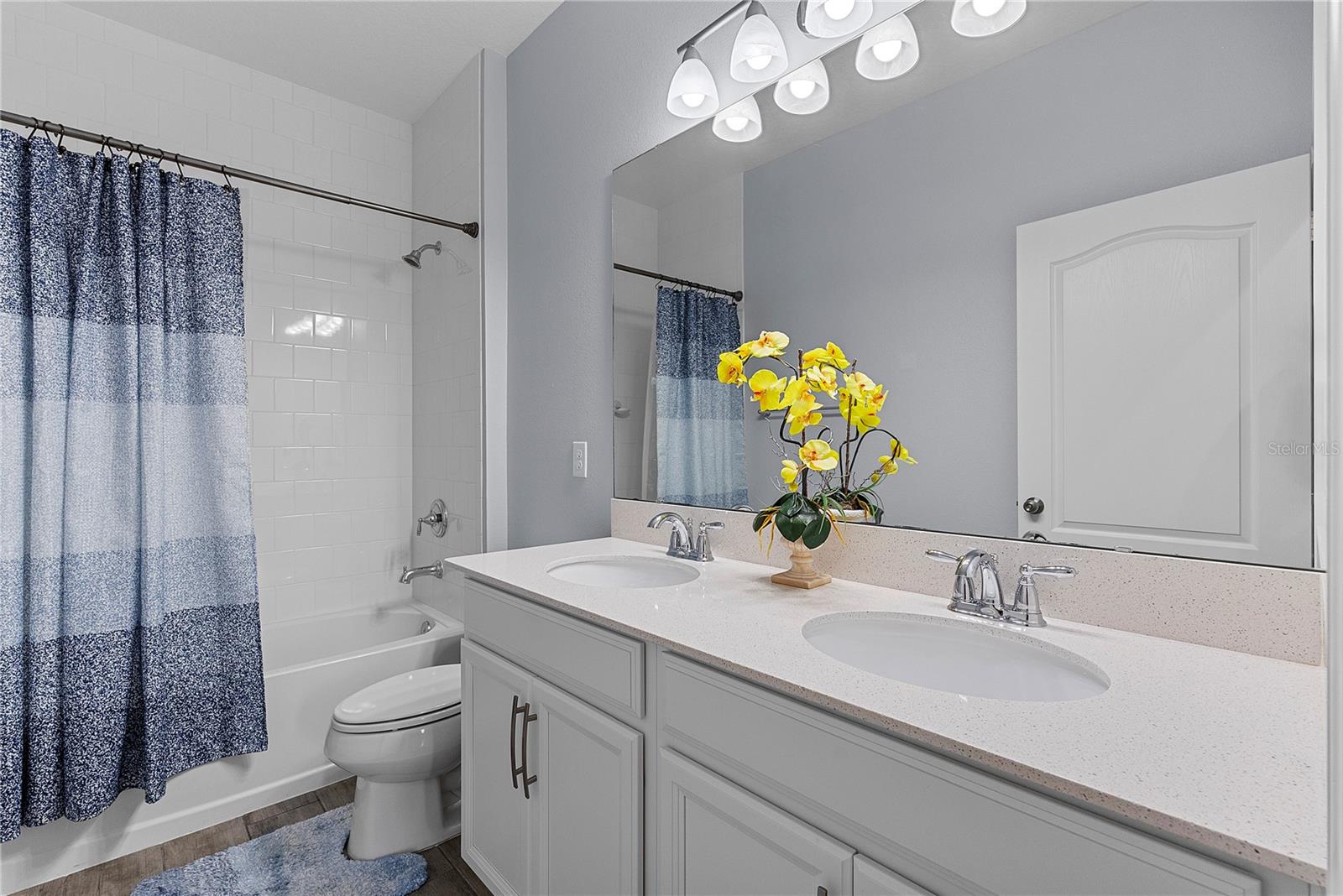 2445 VERDE VIEW DR, APOPKA, FL, 32703