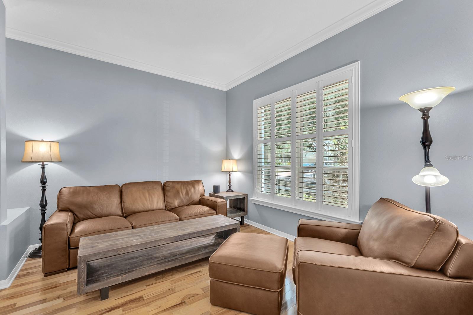 5613 LARK MEADOW PL, LITHIA, FL, 33547