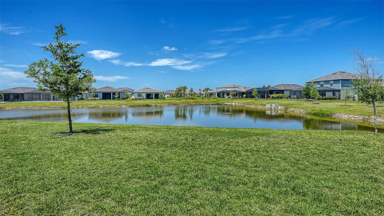 17233 MOONFLOWER DR, VENICE, FL, 34293