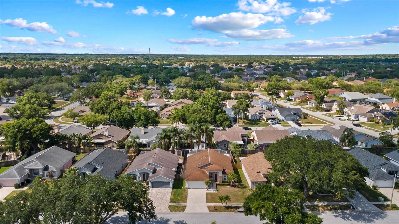 1509 DAWLEY CT, BRANDON, FL, 33511
