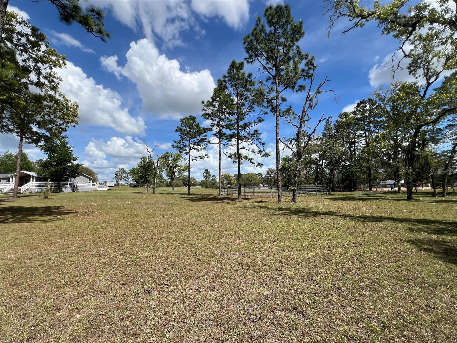 5351 NE 121ST TER, WILLISTON, FL, 32696