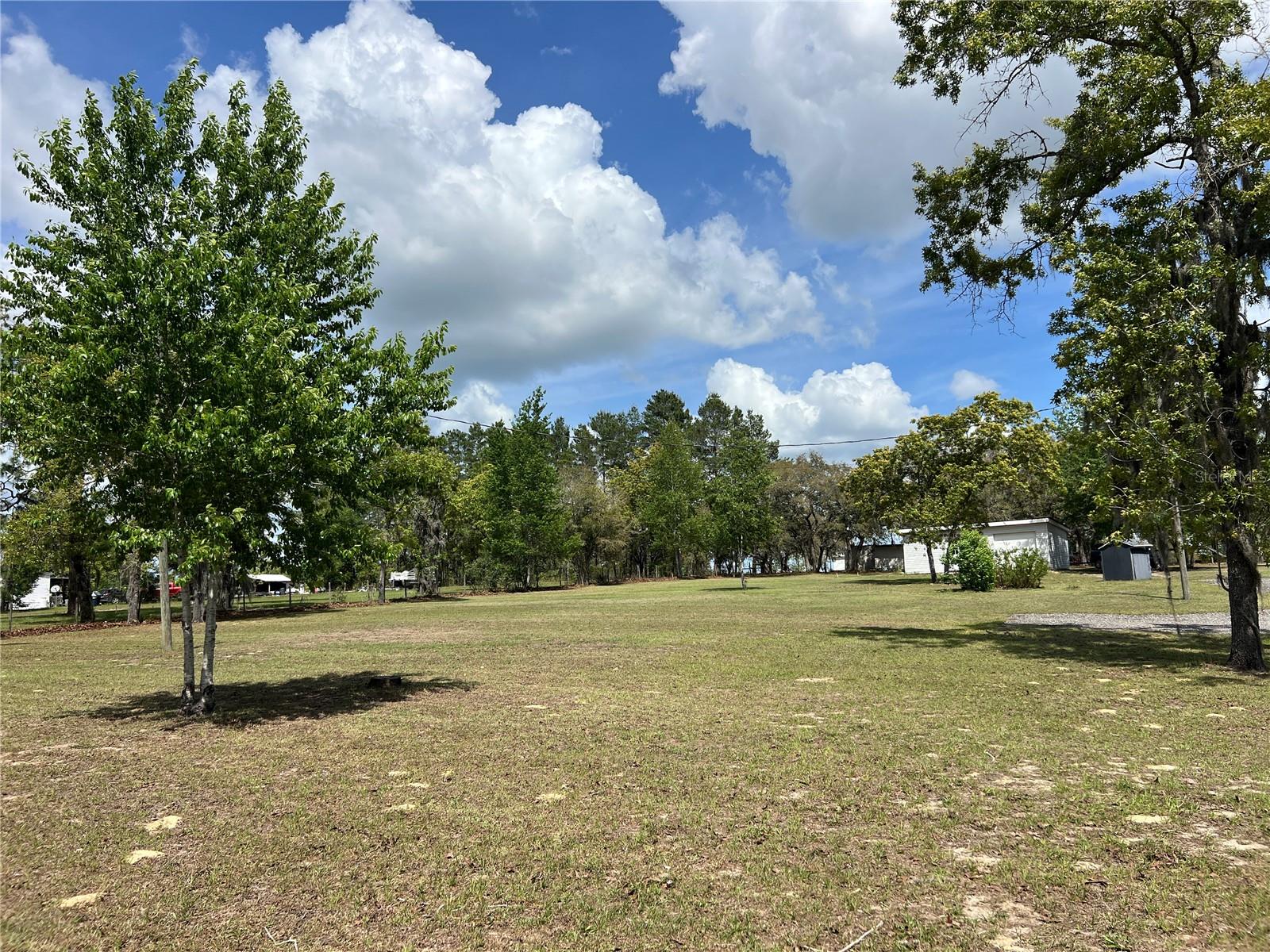 5351 NE 121ST TER, WILLISTON, FL, 32696