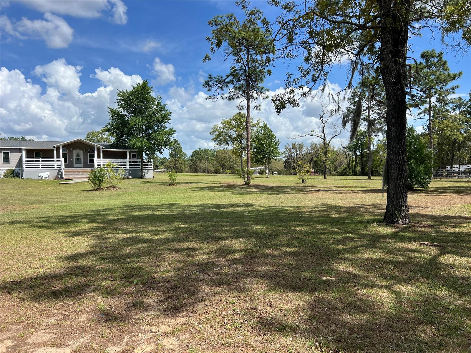 5351 NE 121ST TER, WILLISTON, FL, 32696
