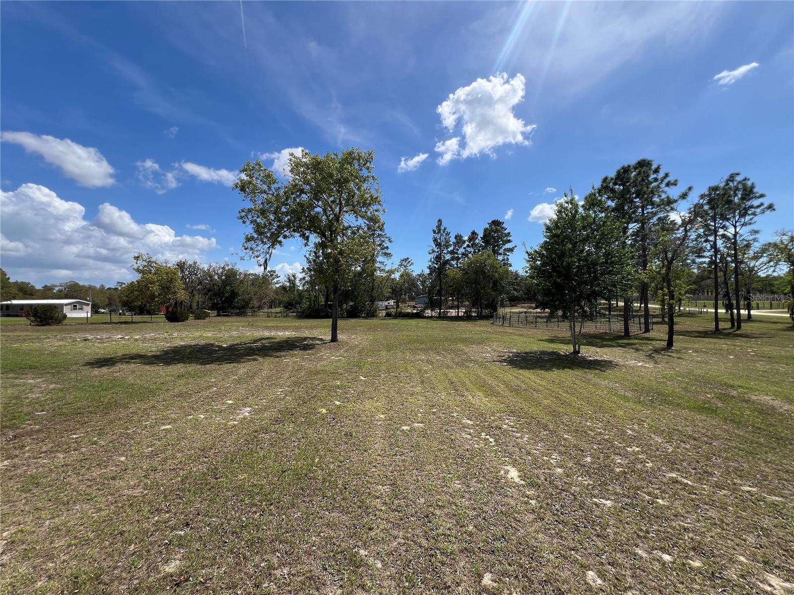 5351 NE 121ST TER, WILLISTON, FL, 32696