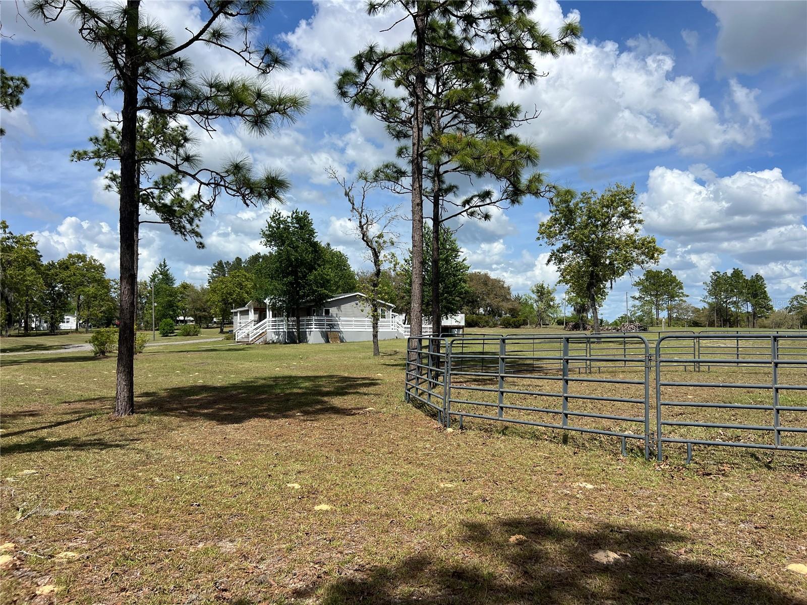 5351 NE 121ST TER, WILLISTON, FL, 32696