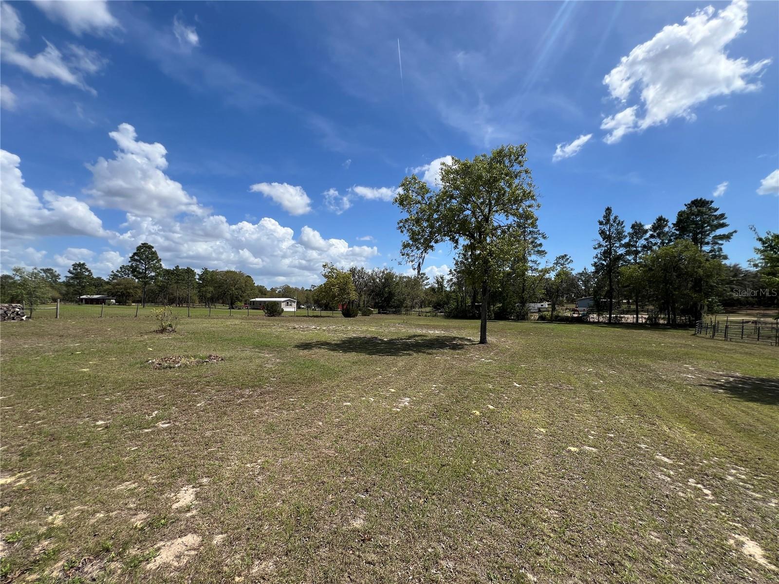 5351 NE 121ST TER, WILLISTON, FL, 32696